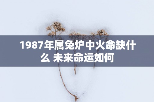 1987年属兔炉中火命缺什么 未来命运如何