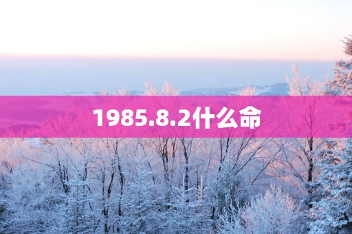 1985.8.2什么命