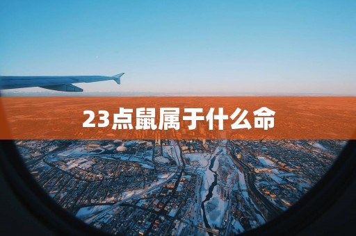23点鼠属于什么命