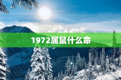 1972属鼠什么命