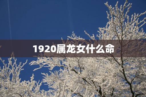 1920属龙女什么命