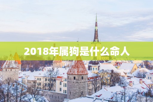 2018年属狗是什么命人