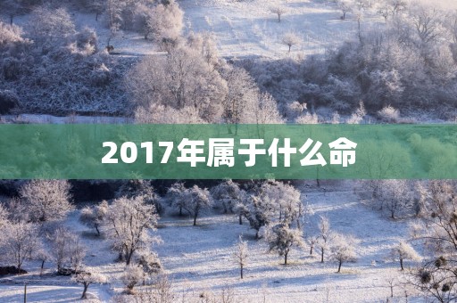 2017年属于什么命