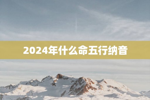 2025年什么命五行纳音