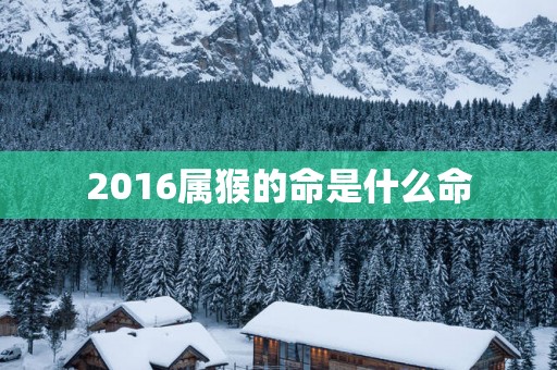2016属猴的命是什么命