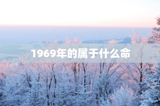 1969年的属于什么命