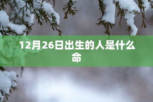 12月26日出生的人是什么命