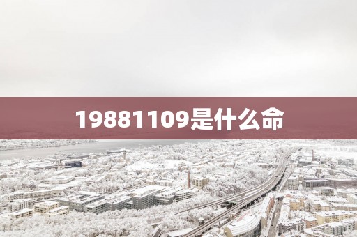 19881109是什么命