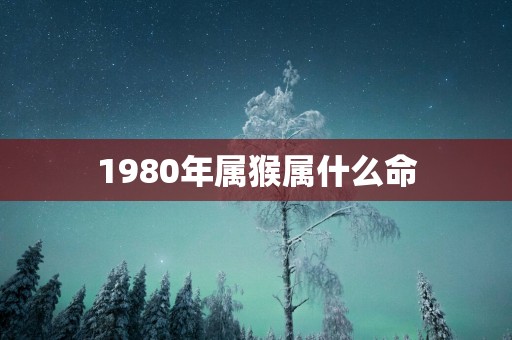 1980年属猴属什么命