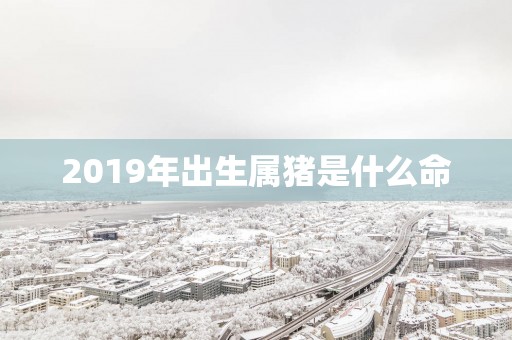 2019年出生属猪是什么命