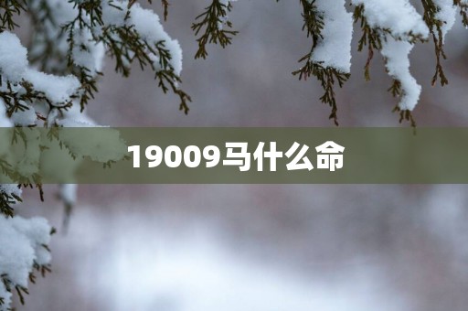 19009马什么命