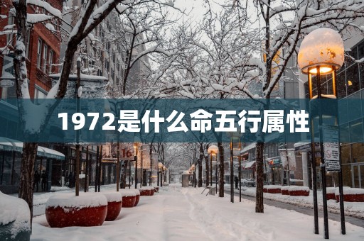 1972是什么命五行属性