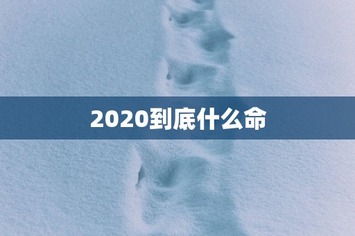 2025到底什么命
