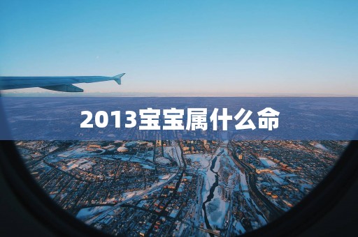 2013宝宝属什么命