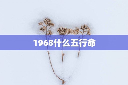 1968什么五行命