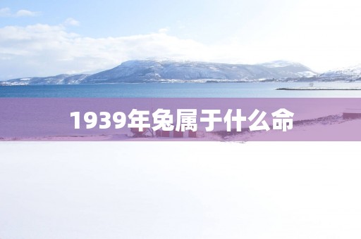 1939年兔属于什么命