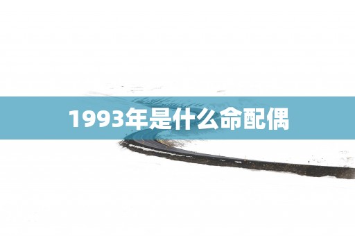 1993年是什么命配偶
