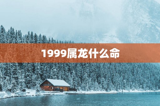 1999属龙什么命