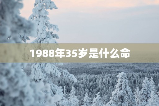 1988年35岁是什么命