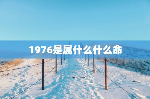 1976是属什么什么命