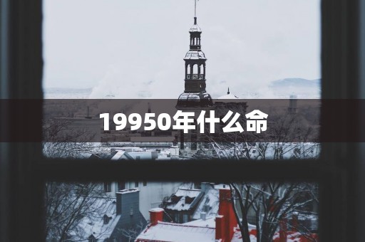 19950年什么命