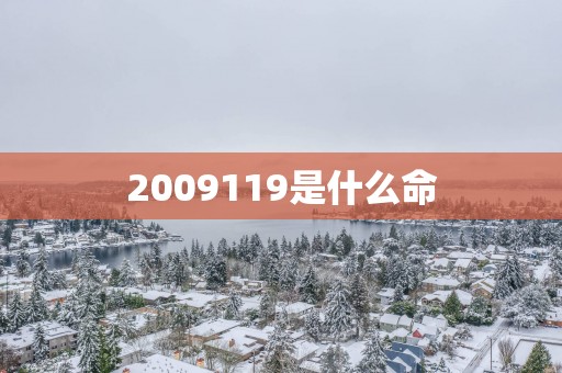 2009119是什么命