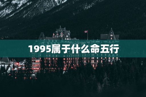 1995属于什么命五行