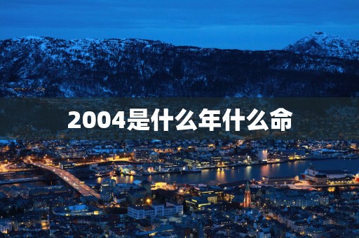 2004是什么年什么命