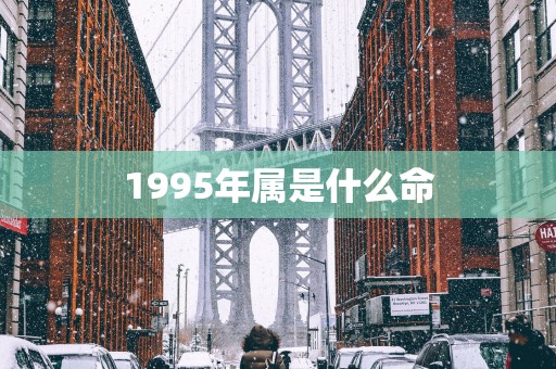 1995年属是什么命