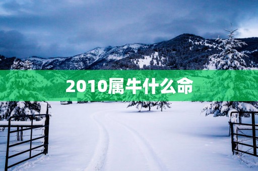 2010属牛什么命