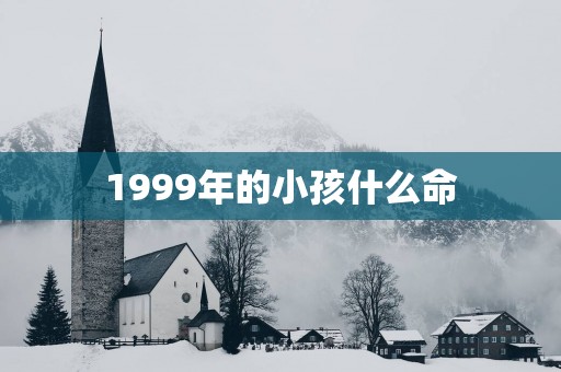 1999年的小孩什么命