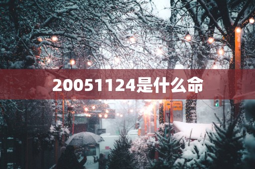 20051124是什么命