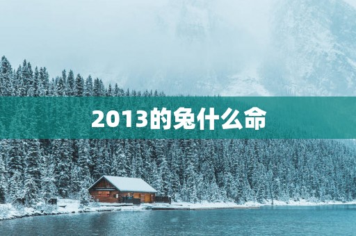 2013的兔什么命