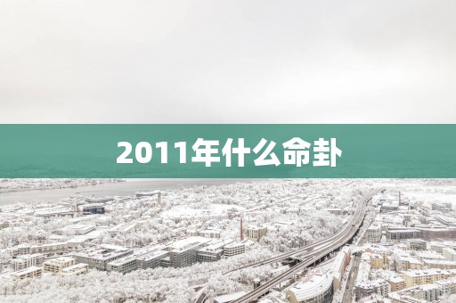 2011年什么命卦