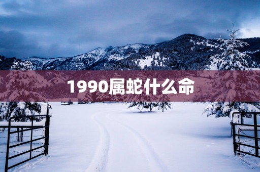 1990属蛇什么命