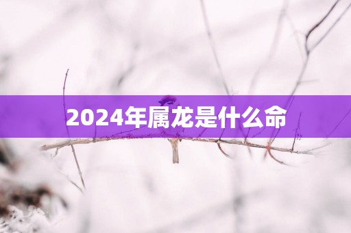 2025年属龙是什么命