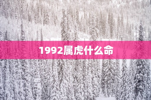1992属虎什么命