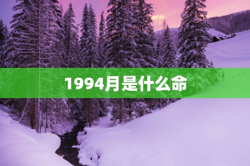 1994月是什么命