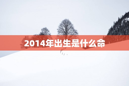 2014年出生是什么命