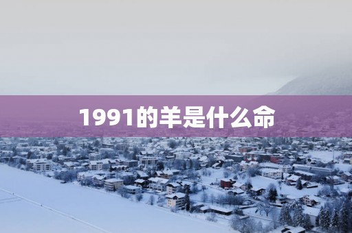 1991的羊是什么命