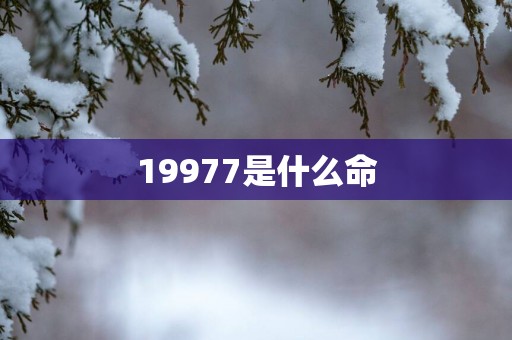 19977是什么命