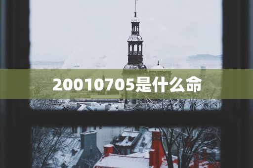 20010705是什么命