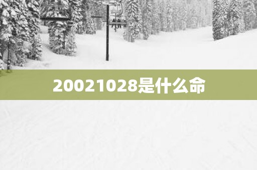 20021028是什么命