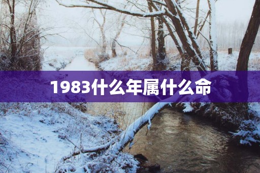 1983什么年属什么命