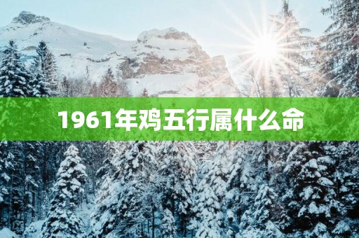 1961年鸡五行属什么命