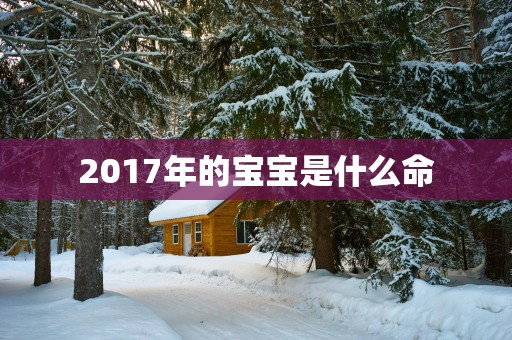 2017年的宝宝是什么命
