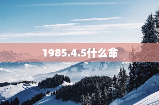 1985.4.5什么命