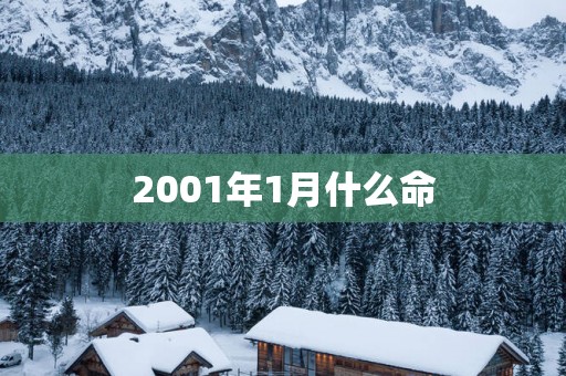 2001年1月什么命