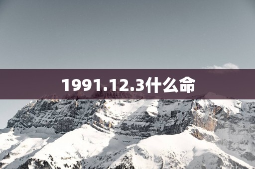1991.12.3什么命