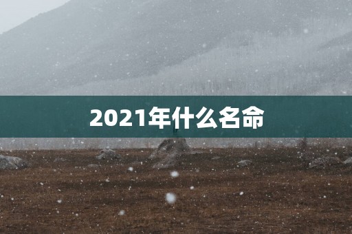 2025年什么名命